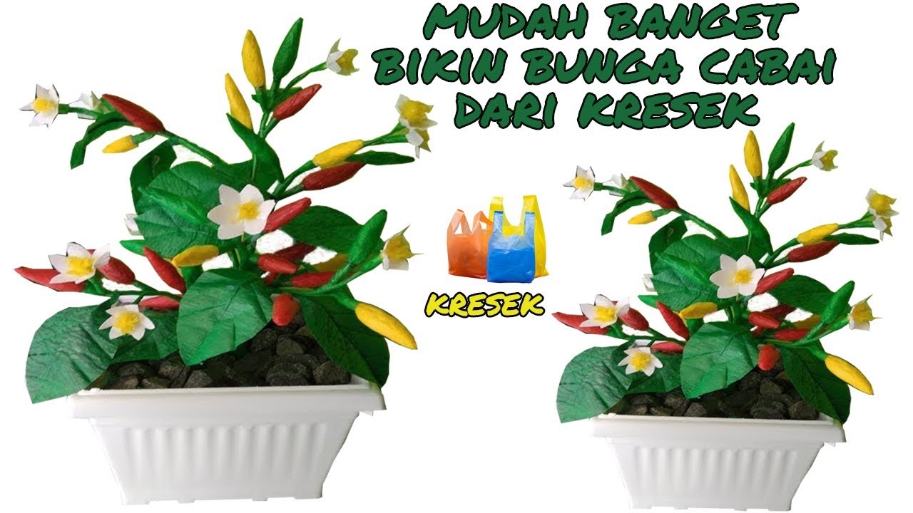 DIY TUTORIAL CABE DARI KANTONG KRESEK BEKAS