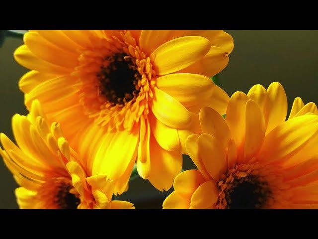 Action haul Februar 2020