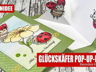 Glückskäfer Pop-Up-Karte | Perfekt abgestimmt | Besondere Kartenformen für Niedlichbastler