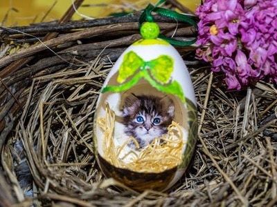 Ostereier bemalen, Frühlingsdeko