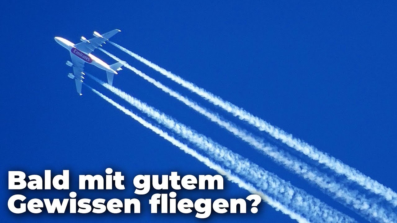 Sensationelle Technologie: Klimafreundliches Fliegen durch elastische Flügel