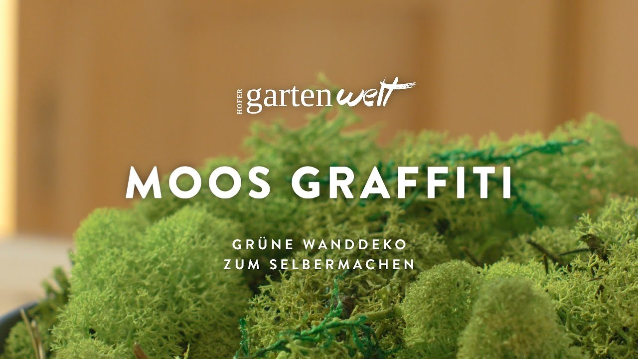 Moosgraffiti | DIY Projekt für den Garten
