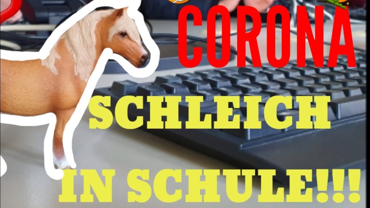 ????Schleich in meiner SCHULE!!????Omg