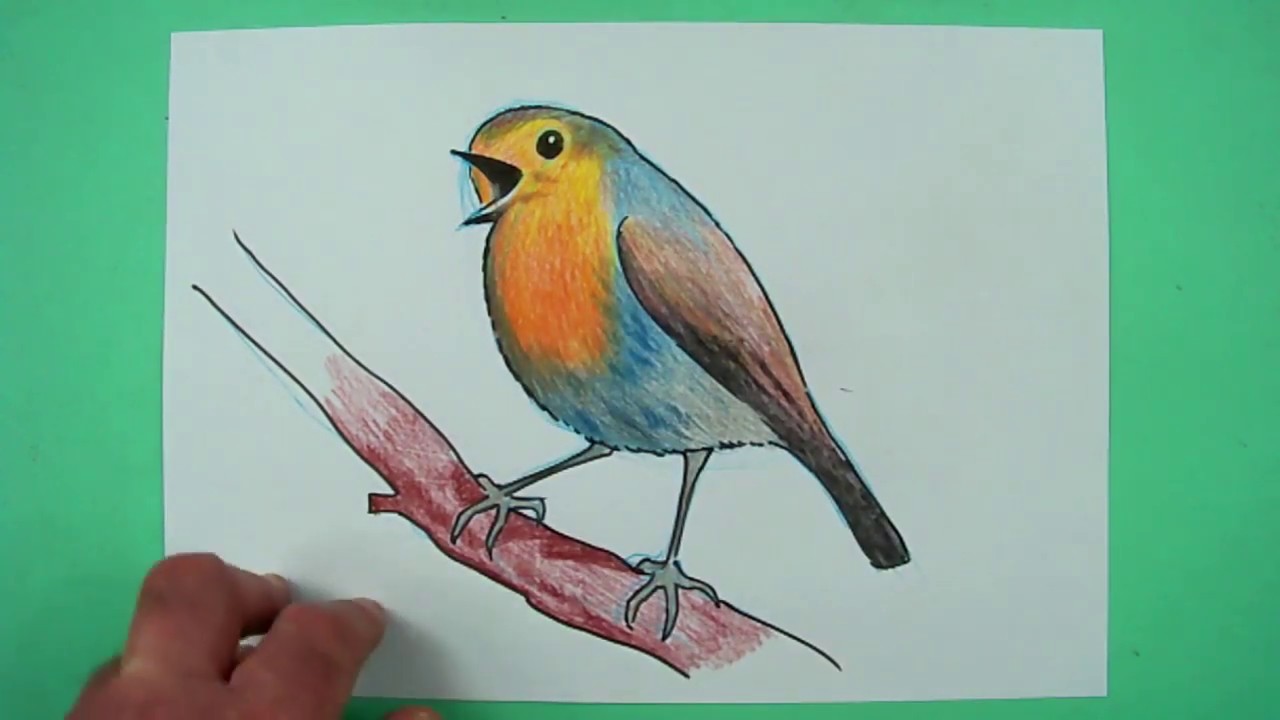 Wie zeichnet man ein Rotkehlchen? Zeichnen nicht nur für Kinder.
