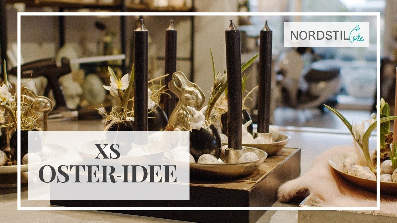 XS Osteridee