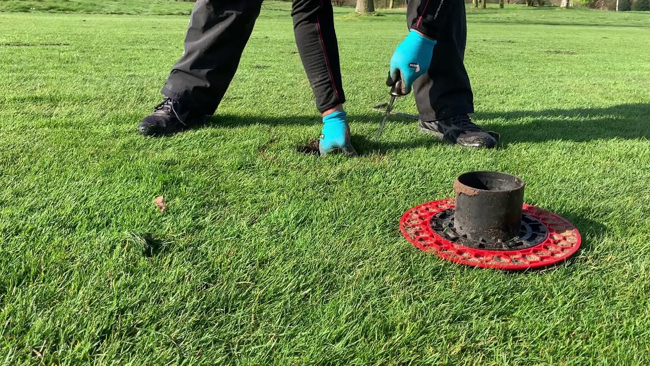 Bleib zu Hause auf dem Laufenden