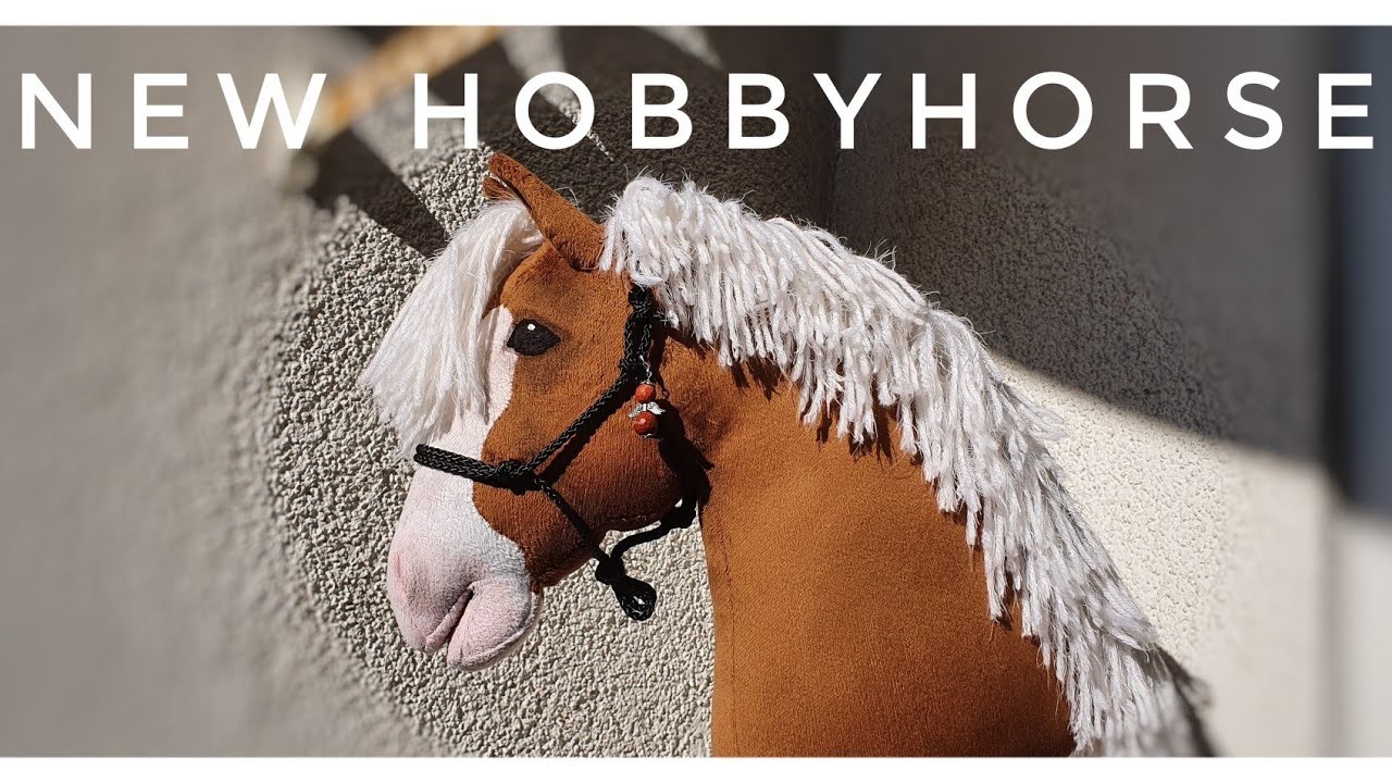 My new Hobbyhorse????????Auspackvideo | Kristina Birchson