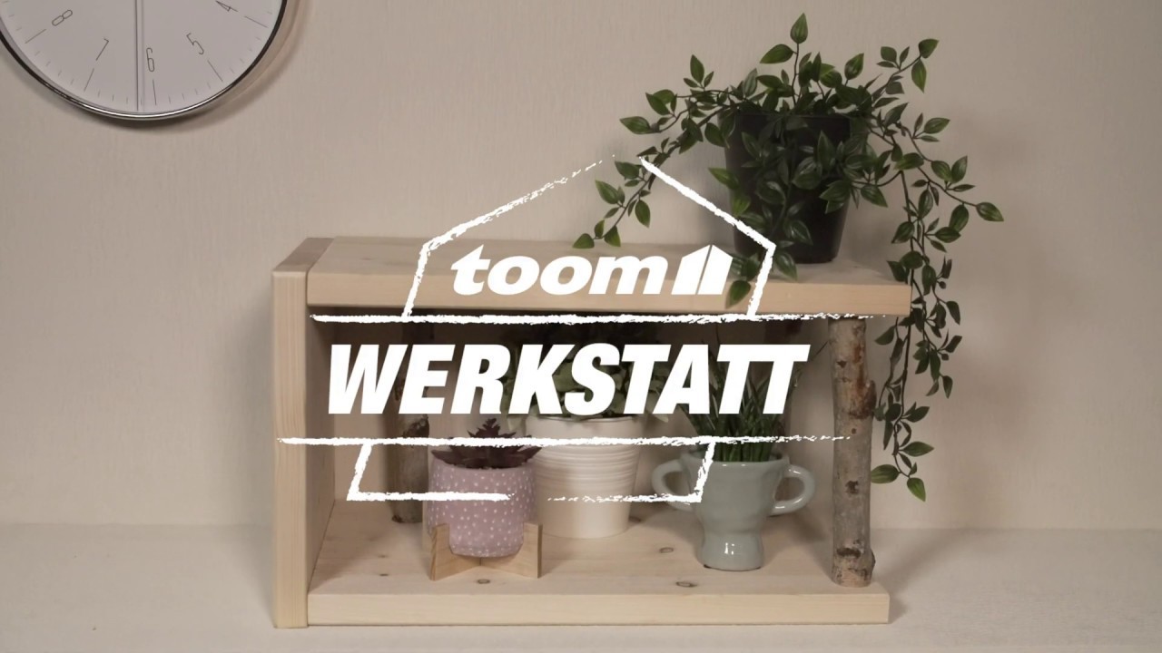 Toom Werkstatt: DIY-Wandregal mit Birkenstamm | toom Baumarkt