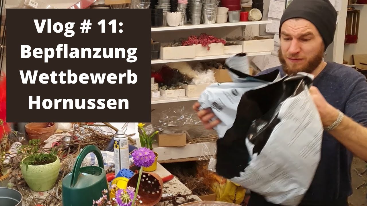 Vlog #11: Blumenmann bepflanzt Gefässe - Wettbewerb und Horrnussen Gedanken und mehr zu Coronakriese