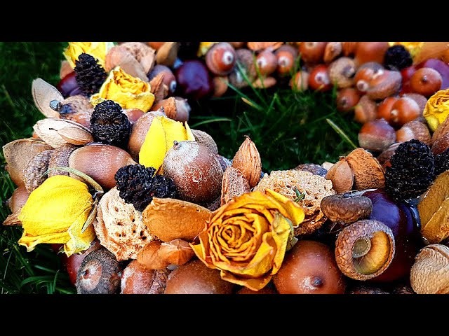 DIY - Herbstkranz ???? aus Aprikosenkernen und Nüssen basteln ✅