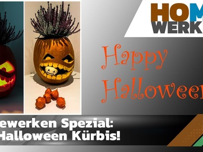 Halloween Spezial, DIY Kürbis Schnitzen, Nachbarschaftsduell