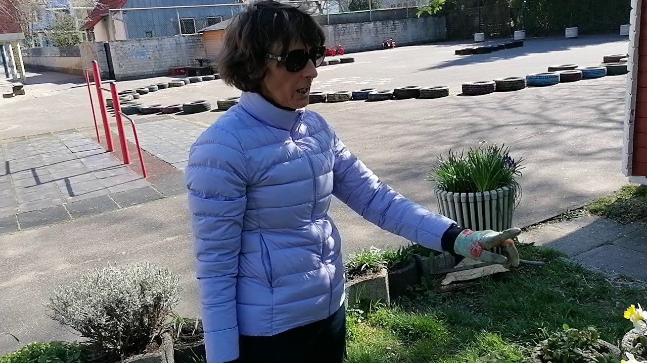 Schulgartenführung mit Frau Czachorowska