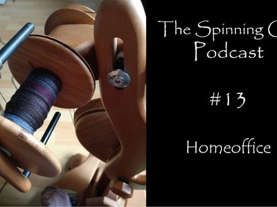 The Spinning Cat | Podcast #13 | Homeoffice