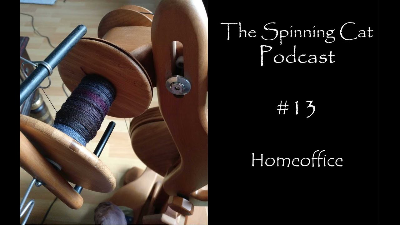 The Spinning Cat | Podcast #13 | Homeoffice