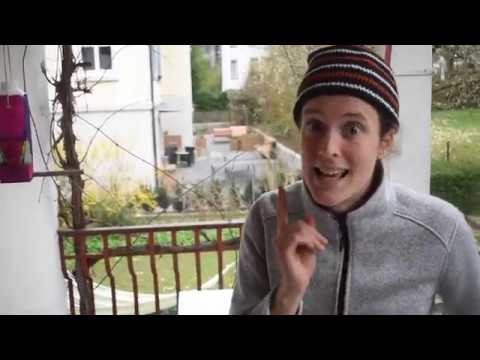 Futterstation Vögel