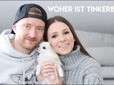 STORYTIME: WOHER IST TINKERBELL? + WELPENBILDER TINKI + GESCHWISTER