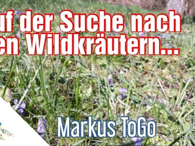 Auf der Suche nach den Wildkräutern