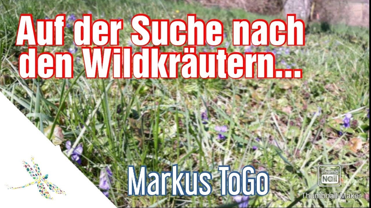 Auf der Suche nach den Wildkräutern