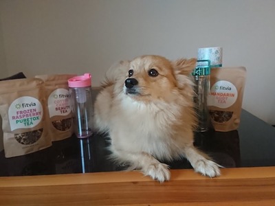 Fitvia Tee Unboxing. Test der neuen Sorten