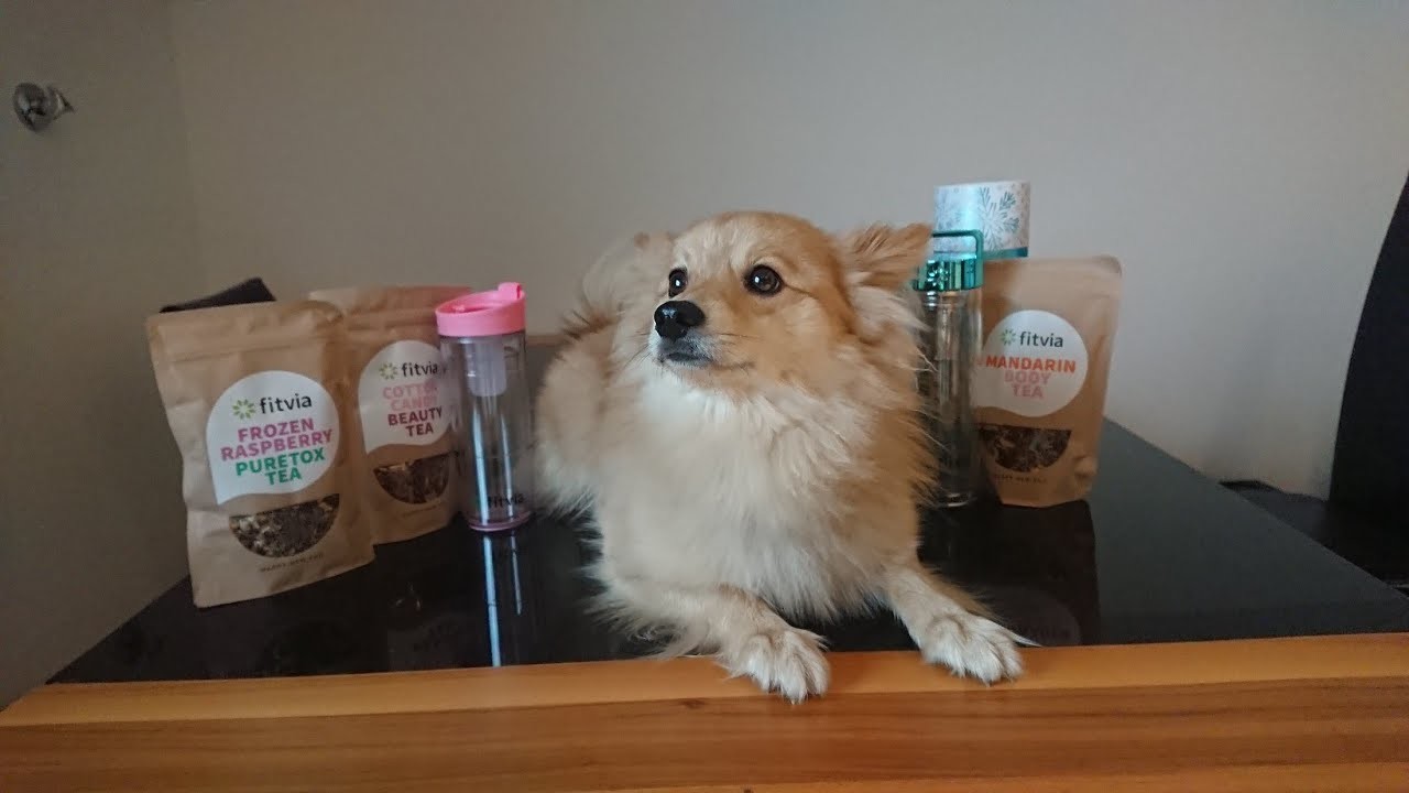 Fitvia Tee Unboxing. Test der neuen Sorten