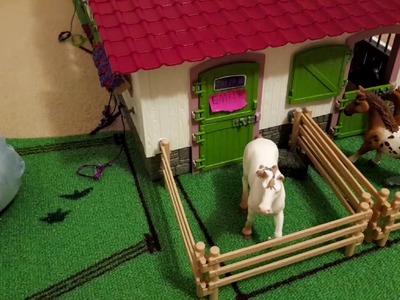 Schleich spielen mit meiner Cousine. Schleich Teppich. 