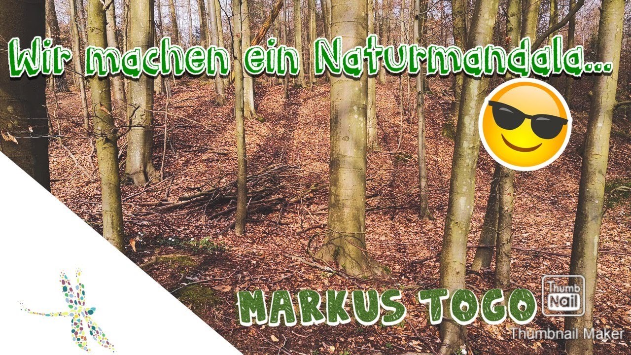 Wir machen ein Naturmandala. 