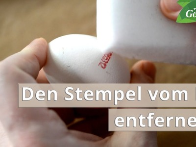 Den Stempel vom Ei entfernen | MDR Garten