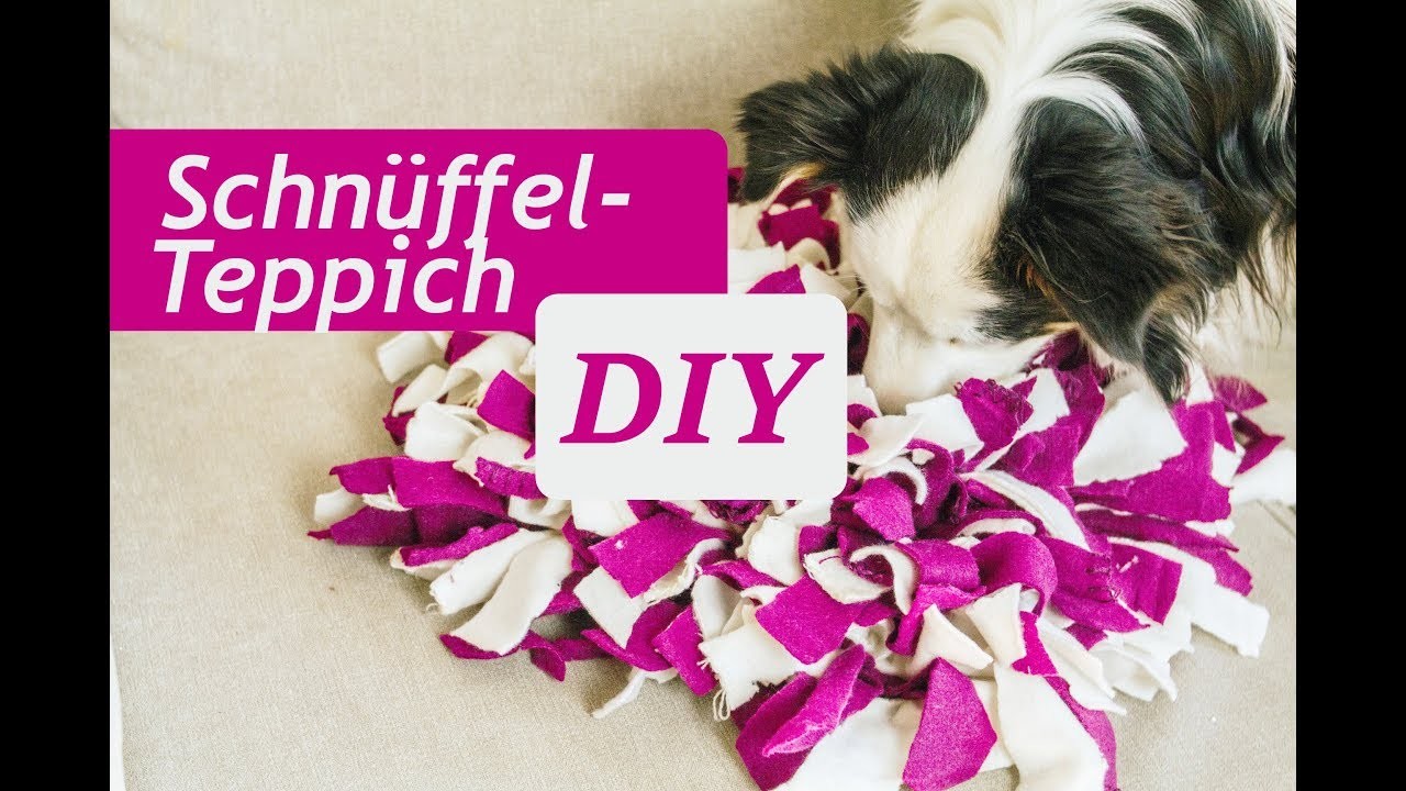 DIY Anleitung Schnüffelteppich für deinen Hund basteln