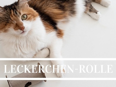 DIY Beschäftigung für Katzen - Einfache Leckerli-Rolle selber basteln