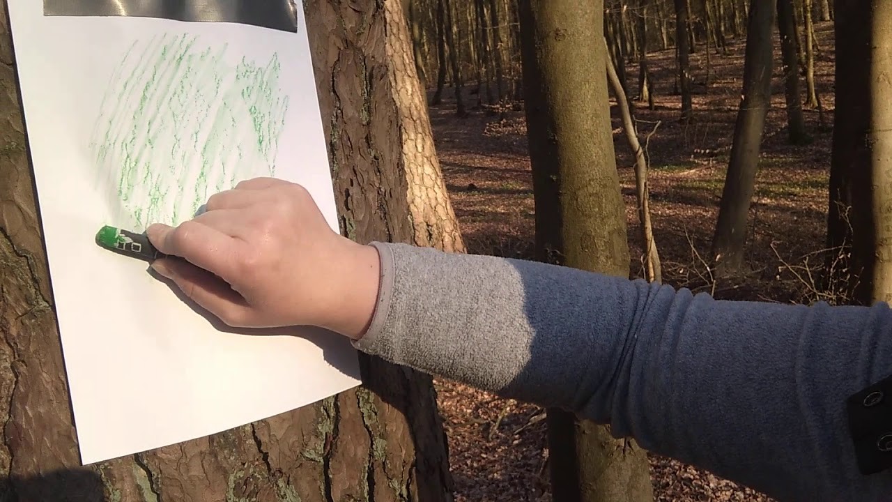 Sammele Abdrücke beim Spaziergang im Wald!