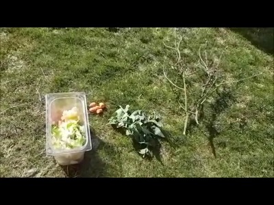 Wie geht es eigentlich unseren Kaninchen?