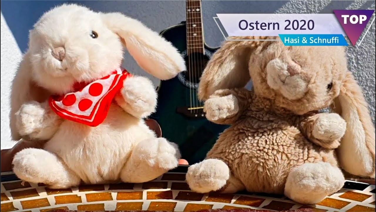Hasen TV - Ostern 2020 - Die coolen Hasen - Im Supermarkt mit Hasi & Schnuffi 12.04.2020