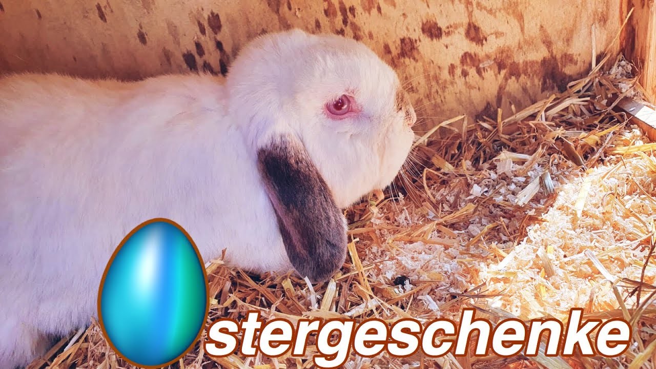 Ostergeschenke für die Kaninchen