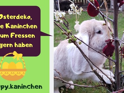 Osterüberraschung für Kaninchen