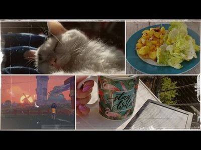 VLOG #31 | N8eulchens Wohnzimmer