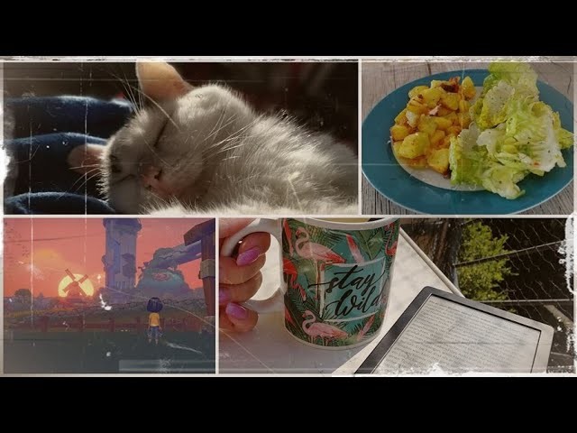 VLOG #31 | N8eulchens Wohnzimmer