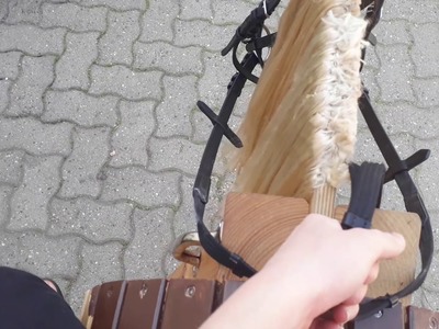 Ausritt mit Amy ????????????????????