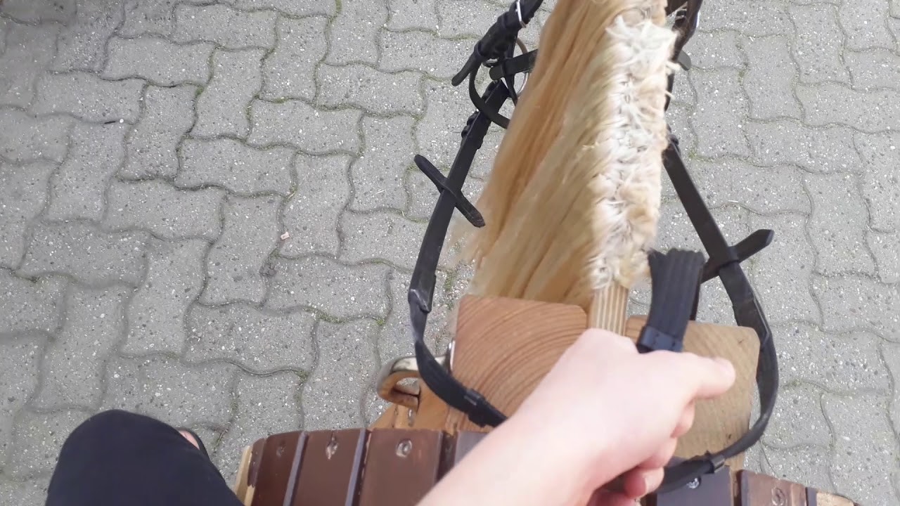 Ausritt mit Amy ????????????????????