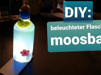 Beleuchtete Marimo Flasche. Deko Mooskugeln für den Kaminsims oder die Fensterbank.