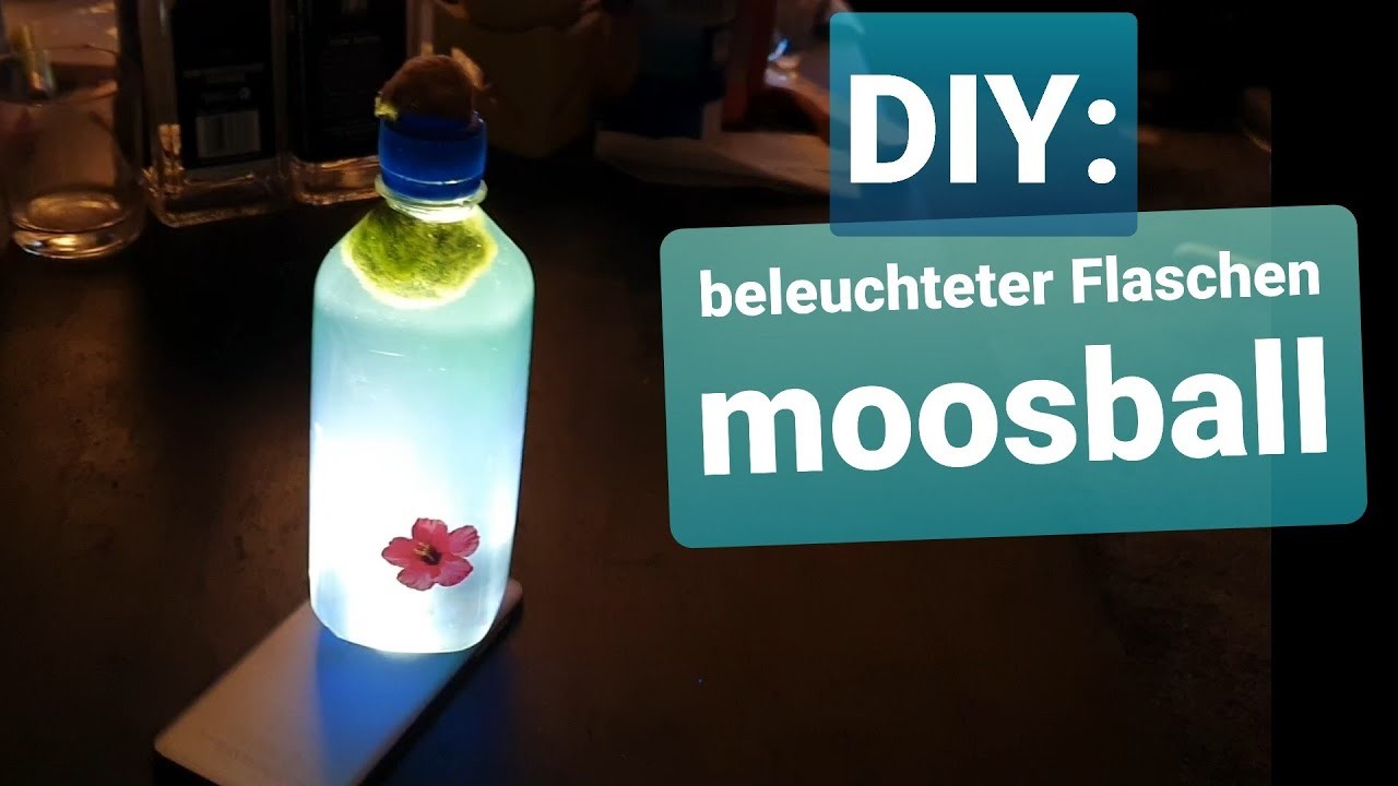Beleuchtete Marimo Flasche. Deko Mooskugeln für den Kaminsims oder die Fensterbank.