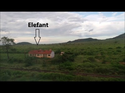 Was geht ab mit Levi   Wir fahren nach Mombasa