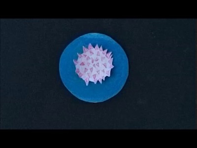 Wir bleiben zu Hause Kindergarten Video 23 Das Coronavirus - Gedicht in Bildern
