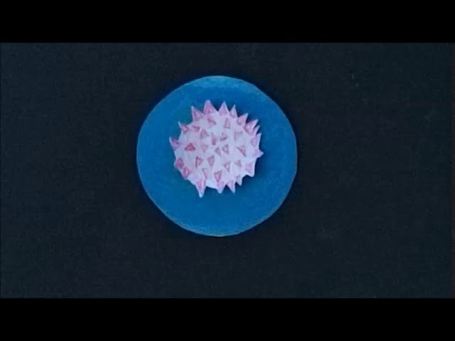 Wir bleiben zu Hause Kindergarten Video 23 Das Coronavirus - Gedicht in Bildern