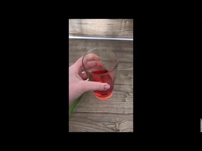 Wir bleiben zu Hause Kindergarten Video 51 Farben Experiment: Die Tulpe