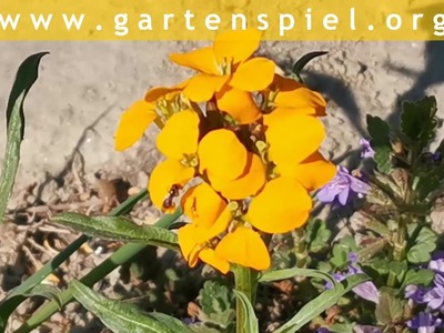 EliZZZa Tagebuch * Tag 44 * Warten. 