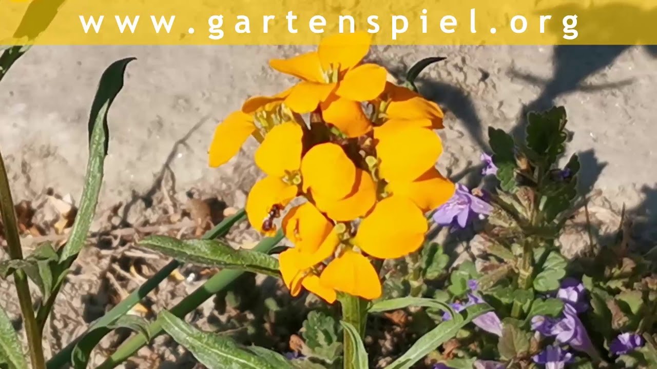 EliZZZa Tagebuch * Tag 44 * Warten. 