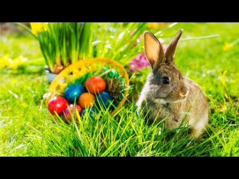 Meine Ostergeschenke 2020