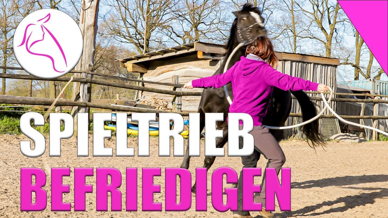 Pferd buckelt und geht durch | Pferd dreht durch | unkontrollierbares Pferd | bleibt nicht stehen