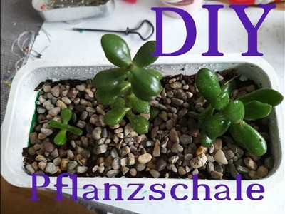 DIY - Coronakannunsmal - wir basteln eine Pflanzschale