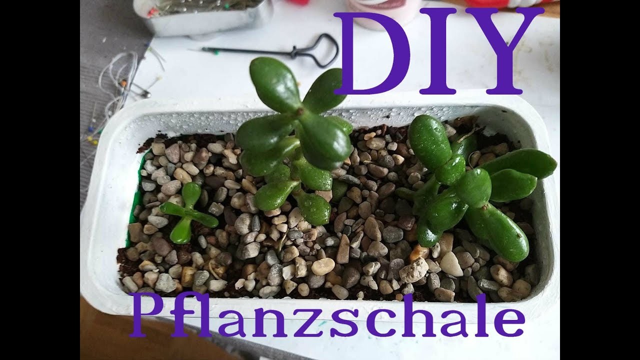 DIY - Coronakannunsmal - wir basteln eine Pflanzschale